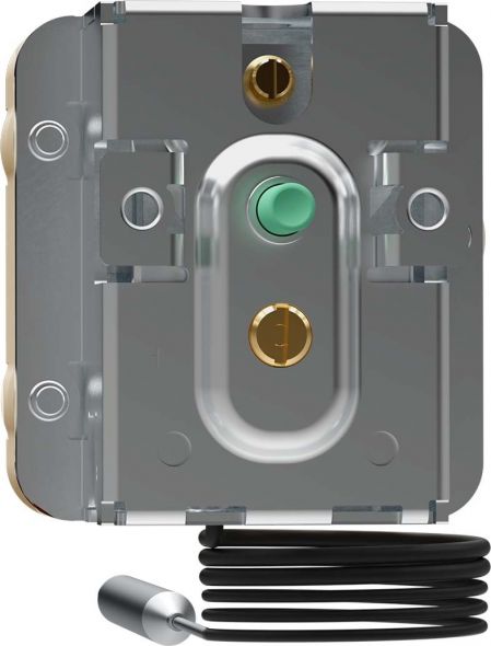 Sicherheitstemp.begrenzer 60003433