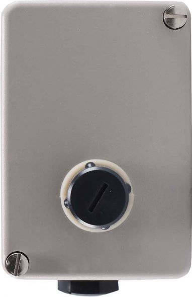 Thermostat 60001290 Thermostat 60001290