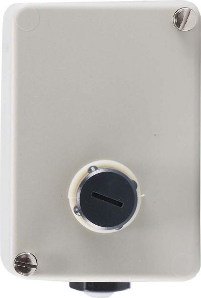 Thermostat 60002262 Thermostat 60002262
