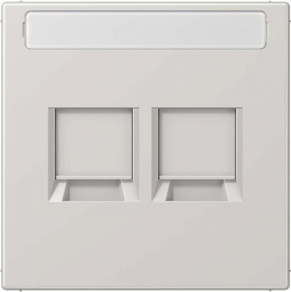 Abdeckung 2-fach LS1969-25NAWELG