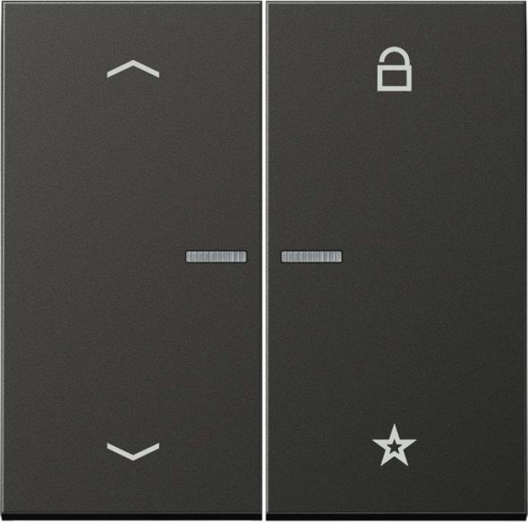 eNet Funk-Steuertaste FM AL 1701 P AN