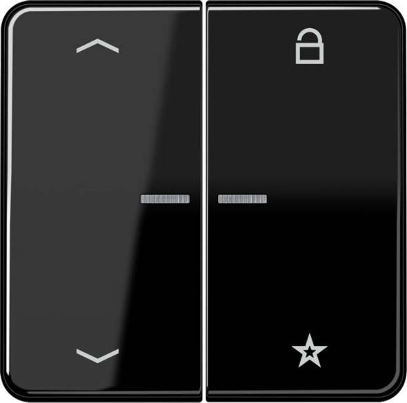 eNet Funk-Steuertaste FM CD 1701 P SW