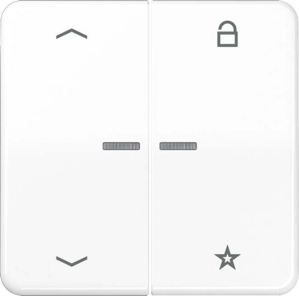 eNet Funk-Steuertaste FM CD 1701 P WW