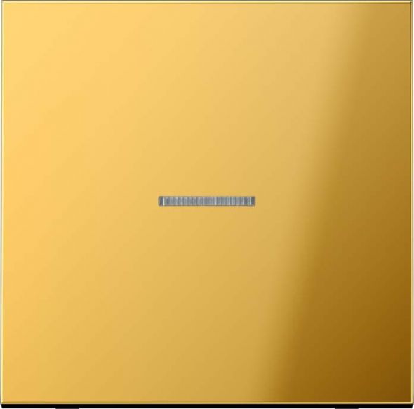 eNet Funk-Steuertaste FM GO 1700