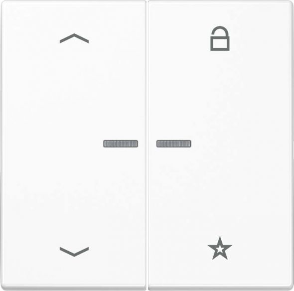 eNet Funk-Steuertaste FM LS 1701 P WW