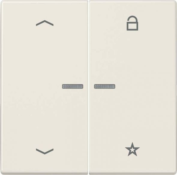 eNet Funk-Steuertaste FM LS 1701 P