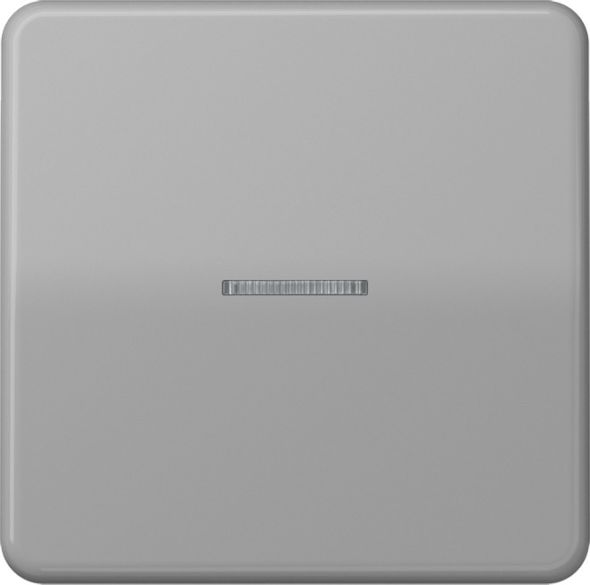 KNX RF Taster 1fach CD 10911 ST RF GR KNX RF Taster 1fach CD 10911 ST RF GR