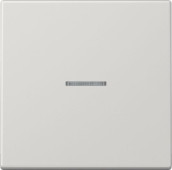KNX RF Taster 1fach LS 10911 ST RF LG KNX RF Taster 1fach LS 10911 ST RF LG