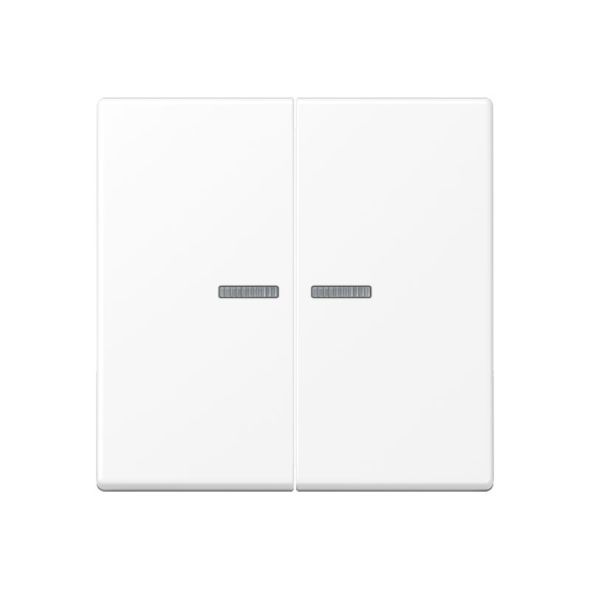 KNX RF Taster 2fach A 10921 ST RF BF WWM KNX RF Taster 2fach A 10921 ST RF BF WWM