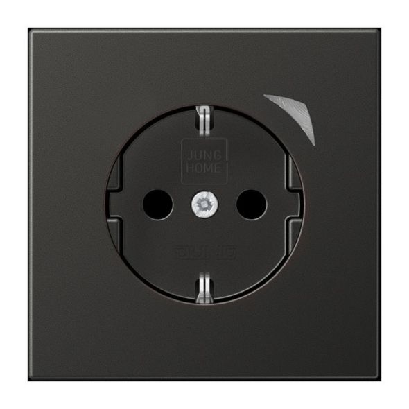 SCHUKO Steckdose 16 A 250V BT AL 1521 SE AN-L