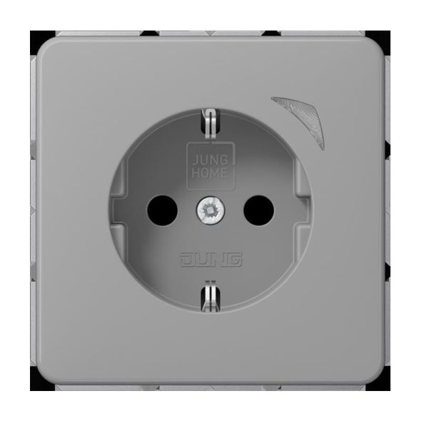 SCHUKO Steckdose 16 A 250V BT CD 1521 S GR SCHUKO Steckdose 16 A 250V BT CD 1521 S GR