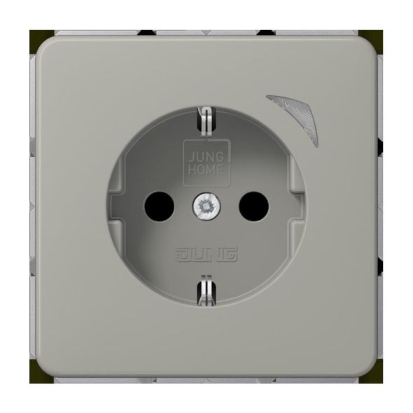 SCHUKO Steckdose 16 A 250V BT CD 1521 S PT SCHUKO Steckdose 16 A 250V BT CD 1521 S PT