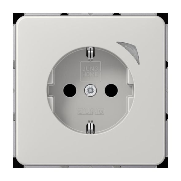 SCHUKO Steckdose 16 A 250V BT CD 1521 SE LG