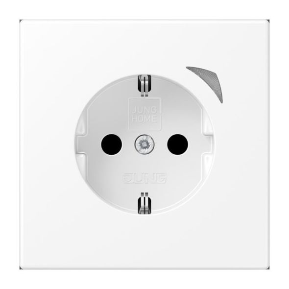 SCHUKO Steckdose 16 A 250V BT LS 1521 S WWM SCHUKO Steckdose 16 A 250V BT LS 1521 S WWM