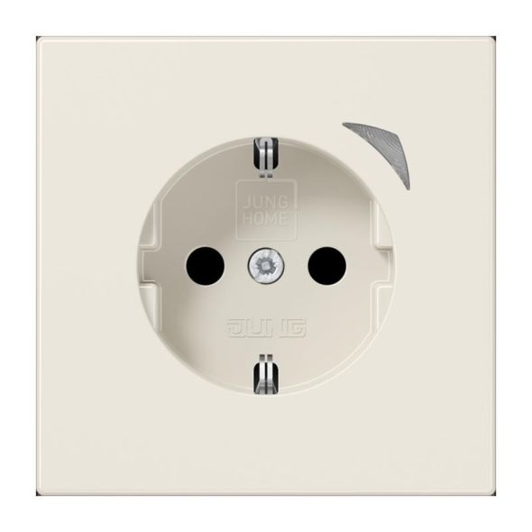 SCHUKO Steckdose 16 A 250V BT LS 1521 S