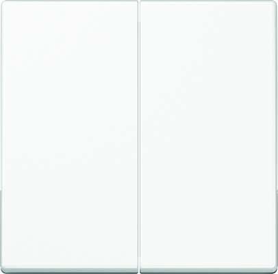 Steuertaste 2-fach A1702WW