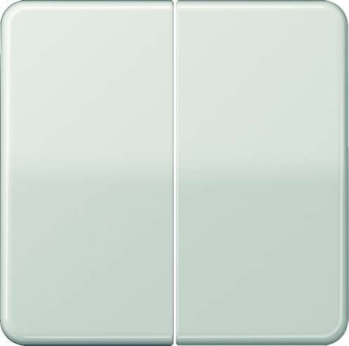 Steuertaste Standard 2-fach CD 1702 LG lichtgrau Steuertaste Standard 2-fach CD 1702 LG lichtgrau
