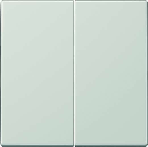 Steuertaste Standard 2-fach LS 1702 LG lichtgrau Steuertaste Standard 2-fach LS 1702 LG lichtgrau