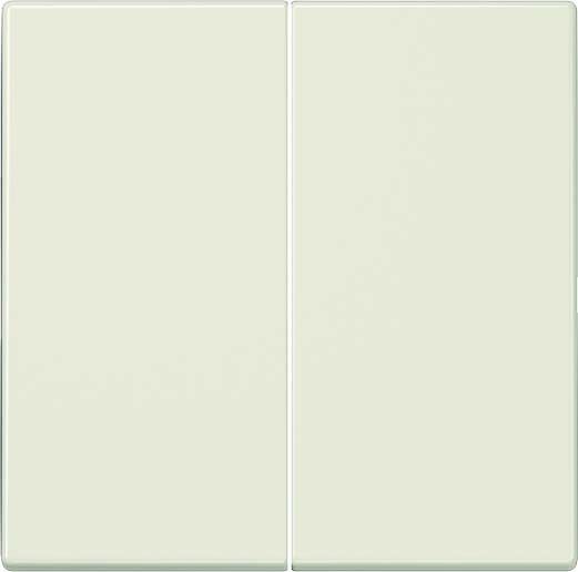Steuertaste Standard 2-fach LS 1702 weiß Steuertaste Standard 2-fach LS 1702 weiß