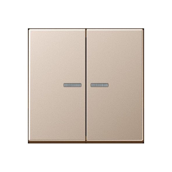 Taster 2fach BT A 17102 CH