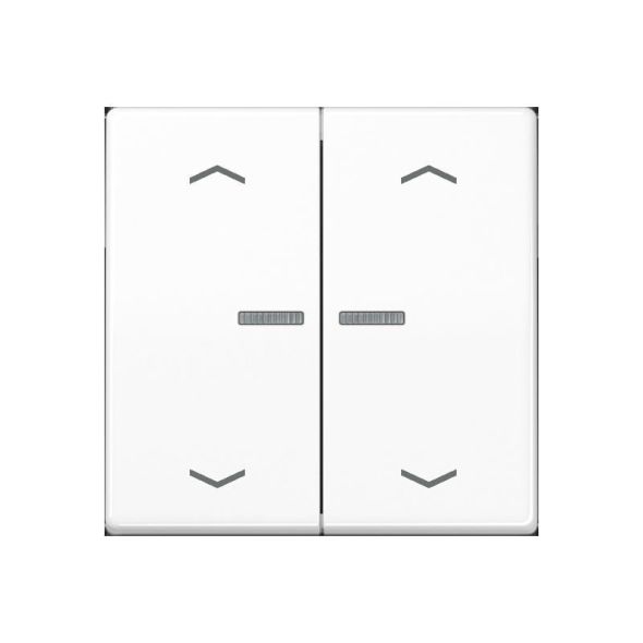 Taster 2fach BT AS 17102 P WW