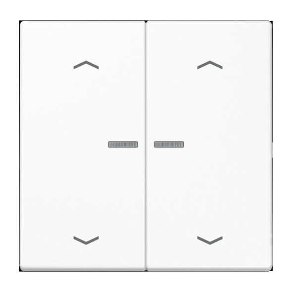 Taster 2fach BT LS 17102 P WW