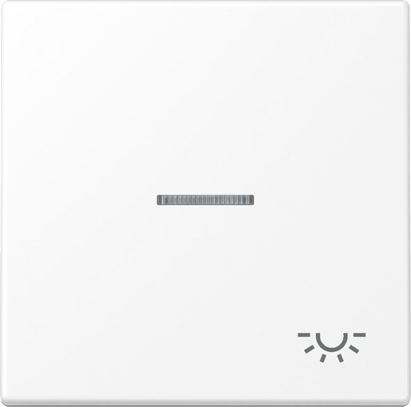 Wippe 1-fach LS 990 KO5 L WWM Wippe 1-fach LS 990 KO5 L WWM