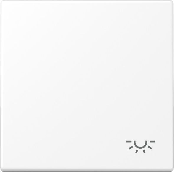 Wippe 1-fach LS 990 L WWM Wippe 1-fach LS 990 L WWM