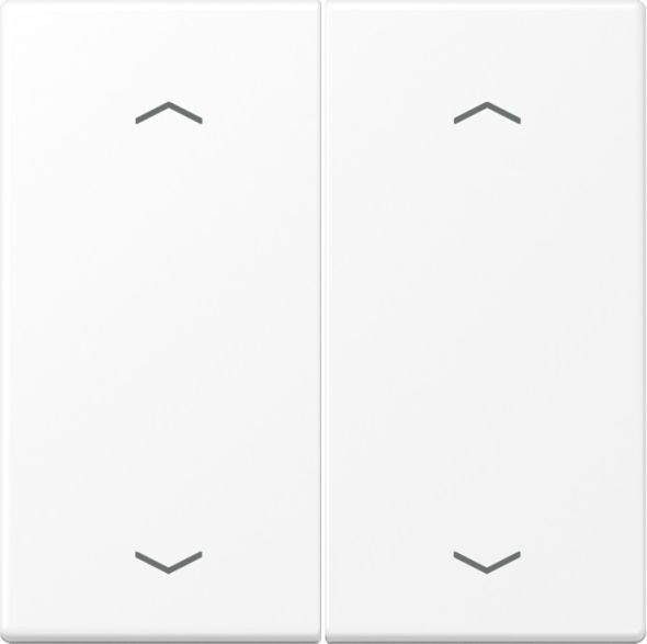 Wippe mit Pfeilsymbolen LS 102 P WWM