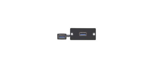 Wall-Plate Einsatz WU3-AA(B) Wall-Plate Einsatz WU3-AA(B)