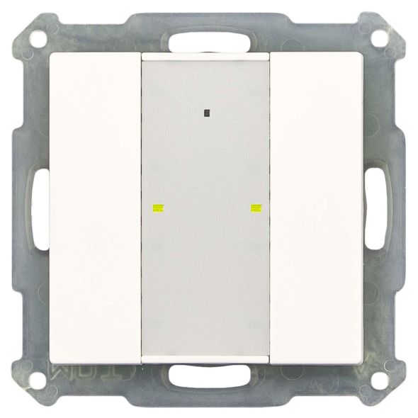 KNX RF+Funk Taster Plus RF-TA55A2.01 KNX RF+Funk Taster Plus RF-TA55A2.01