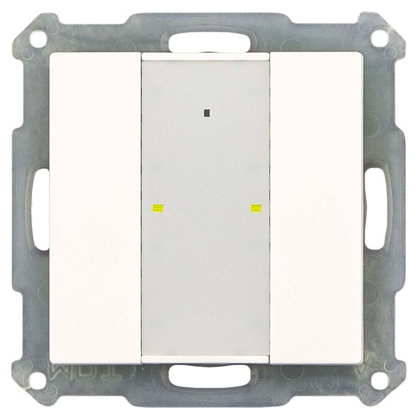 KNX RF+Funk Taster Plus RF-TA55A2.01