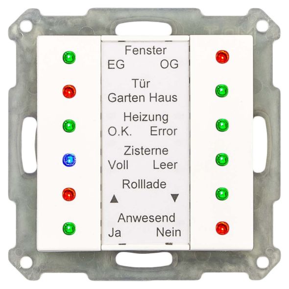 LED Anzeige SCN-LED55.01