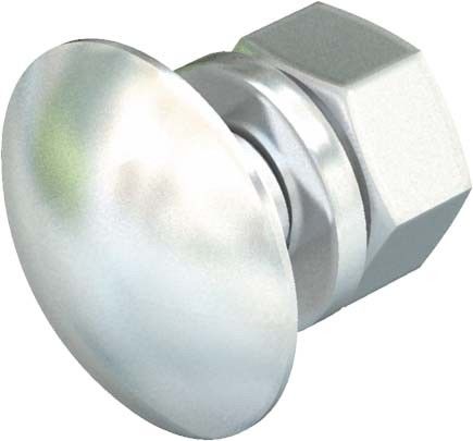 Flachrundschraube FRS 6x20 A4 Flachrundschraube FRS 6x20 A4