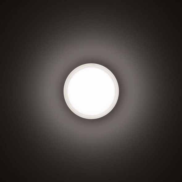 LED-Wand-/Deckenleuchte 3109455 LED-Wand-/Deckenleuchte 3109455