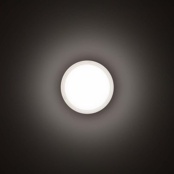 LED-Wand-/Deckenleuchte 3109456 LED-Wand-/Deckenleuchte 3109456