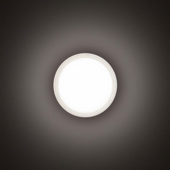 LED-Wand-/Deckenleuchte 3109457 LED-Wand-/Deckenleuchte 3109457