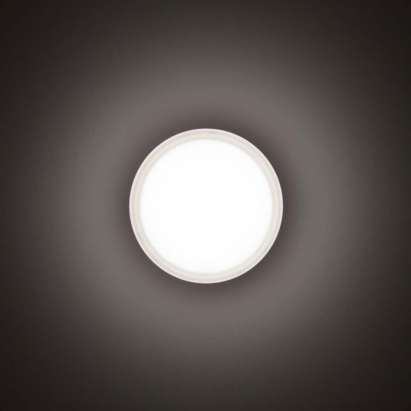 LED-Wand-/Deckenleuchte 3109458 LED-Wand-/Deckenleuchte 3109458