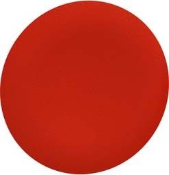Tastenschild f. Frontelem. ZBAF4 Tastenschild f. Frontelem. ZBAF4