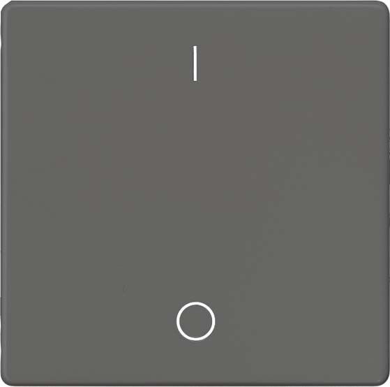 Wippe m.Symbol IO 5TG6222 Wippe m.Symbol IO 5TG6222