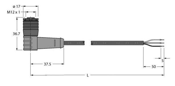 Anschlussleitung WKC4Q-2/TXL