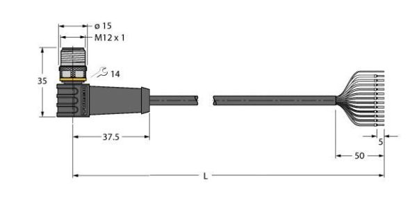 Anschlussleitung WSS12T-5/TEL