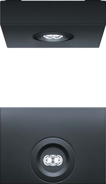 LED-Sicherheitsleuchte RESCLITE P #42929901 LED-Sicherheitsleuchte RESCLITE P #42929901