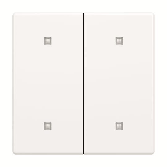 Wippe 2-fach 2570-20-84 Wippe 2-fach 2570-20-84