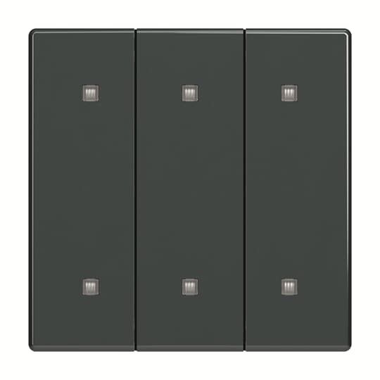 Wippe 3-fach 2570-30-81 Wippe 3-fach 2570-30-81