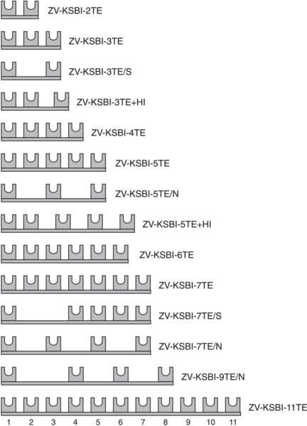 Phasenschiene ZV-KSBI-11TE Phasenschiene ZV-KSBI-11TE