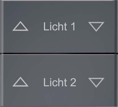 Doppelwippe DW-FF8-anth-lack-at Doppelwippe DW-FF8-anth-lack-at