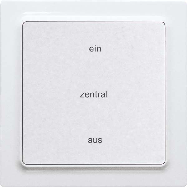 Funk-2-K.-Zentralst.taster F2ZT55E-wg Funk-2-K.-Zentralst.taster F2ZT55E-wg