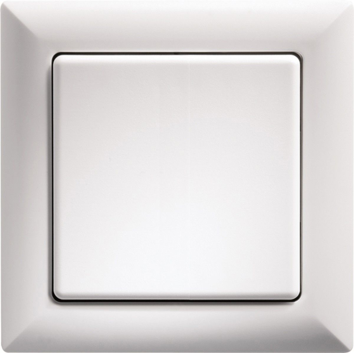 Wippschalter WS55-wg Wippschalter WS55-wg