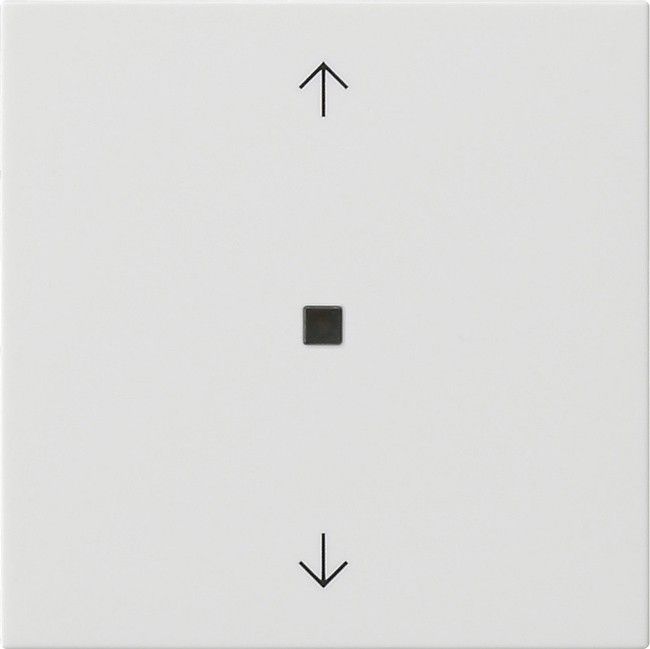 Funk-Bedienaufsatz 549403 reinweiß glänzend